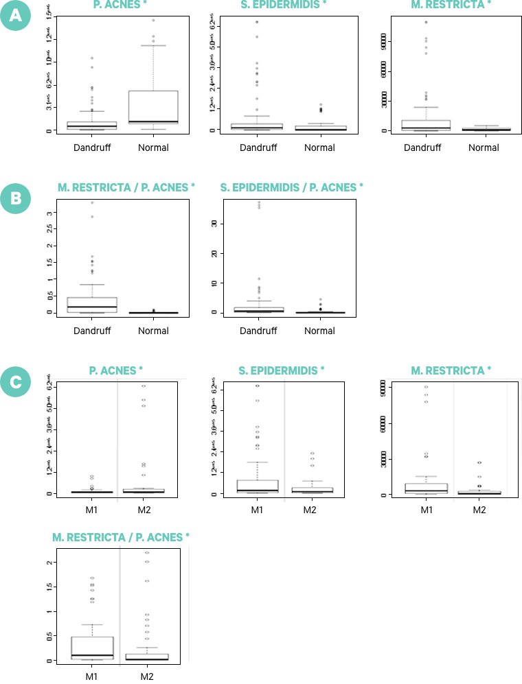 Quantification of the three major microbial species found on the scalp surface by Q-PCR
